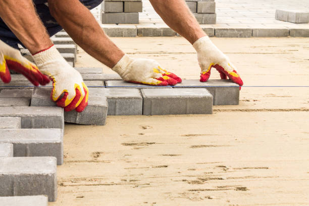 Best Driveway Paving Company  in Seymour, WI